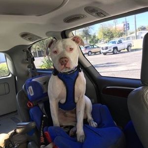 Meet your Posher, Jonathon